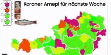 Die besten Memes zum Ampel-Chaos