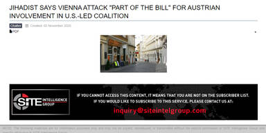 US-Seite zitiert Aussage eines Jihadisten