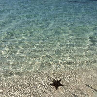 Gisele Bündchen: Traumurlaub auf brasilianischer Insel