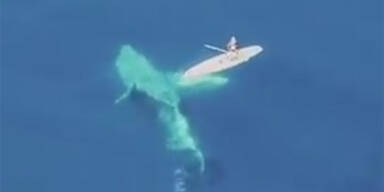 Dieses Video berührt derzeit Millionen von Menschen