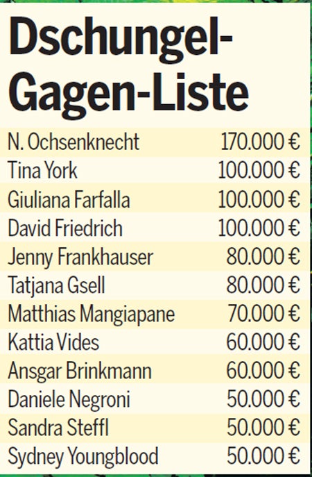 Die geheimen Gagen der Dschungelstars