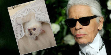Karl Lagerfeld: 'Choupette macht mich zu einem netteren Menschen!'
