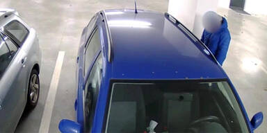 Hier hat ein Mann Sex mit einem Skoda