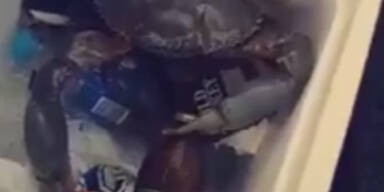 Darf man dieses Video lustig finden?