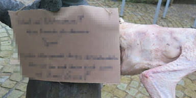 Ganz Botschaft Weihnachten