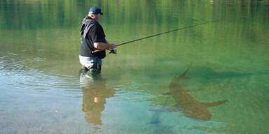 Jetzt auch Krokodil-Alarm im Hintersee