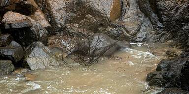 27 Elefanten in Nationalpark in den Tod gest&uuml;rzt