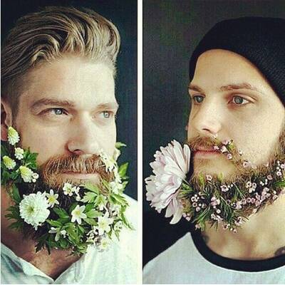 Flowerbeards