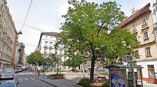 Schubertlinde ist Geschichte