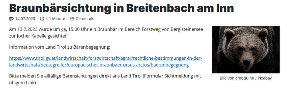 Bären-Alarm in Tirol: Reiterin auf Wanderweg verfolgt
