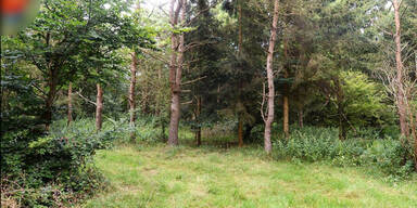 In diesem Bild sind 6 Soldaten versteckt