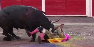 Stier spie&szlig;t Torero am Hals auf