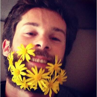 Flowerbeards