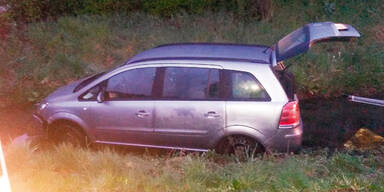 FP-Politiker: Crash im Rausch