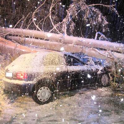 Horror-Crashs wegen Schnee
