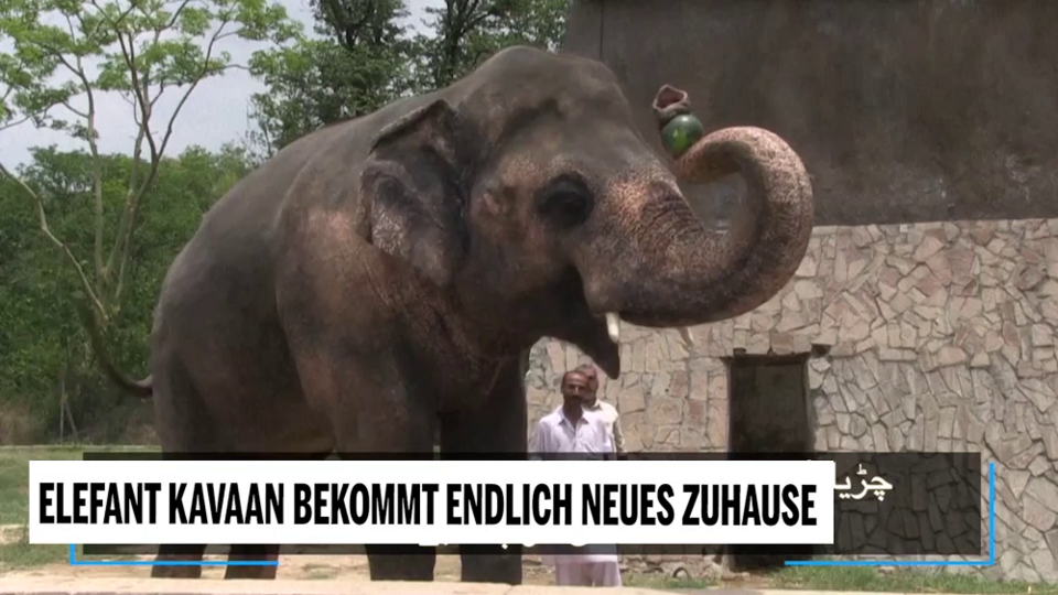 Unsere Tiere - Elefant Kavaan 2 - Sendung 26072020