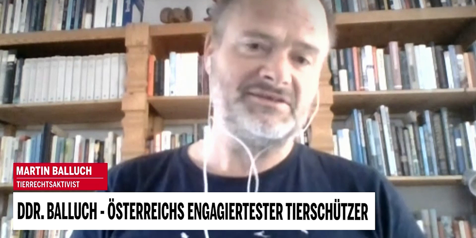 Tierschützer Martin Balluch im oe24.TV-Interview