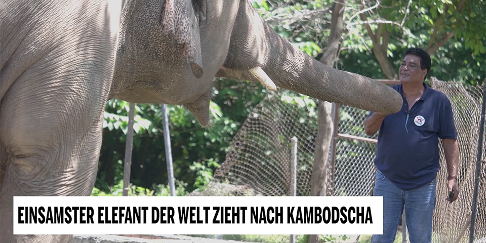 Unsere Tiere - Tierschutz-CH - Elefant Kambodscha 1 - Sendung 18102020