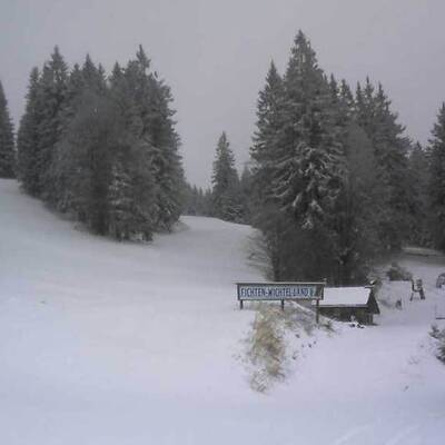 Puchenstuben, 868 Meter