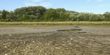 Untere Lobau