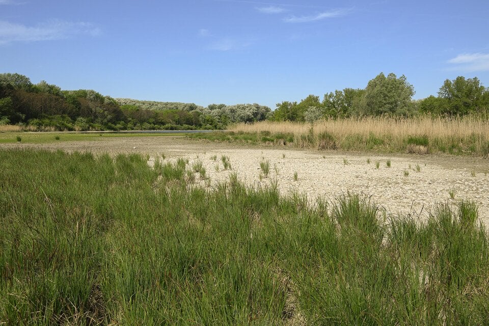 Untere Lobau
