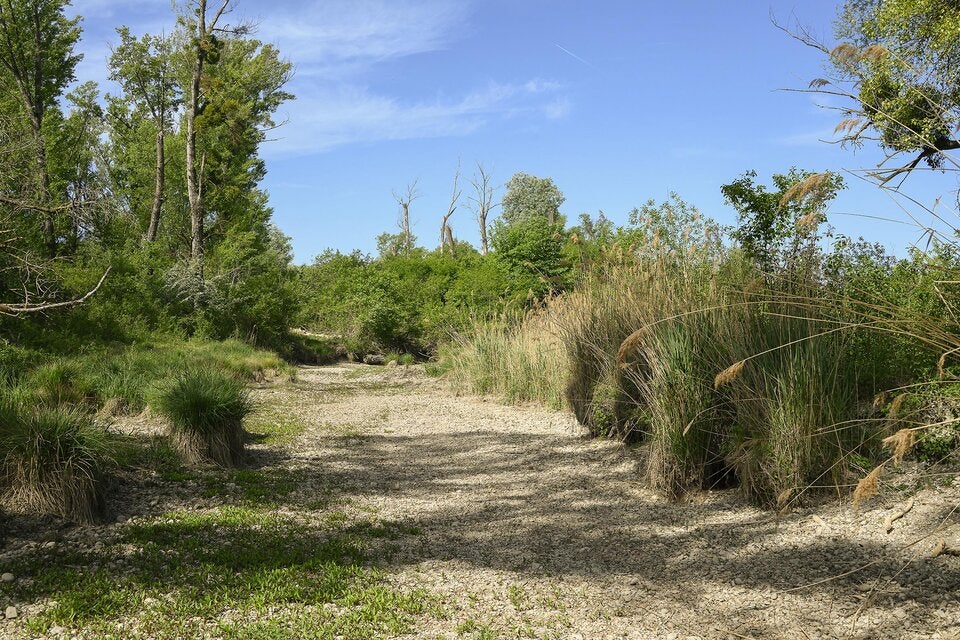 Untere Lobau
