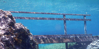 Unterwasser Steiermark Gr&uuml;ner See