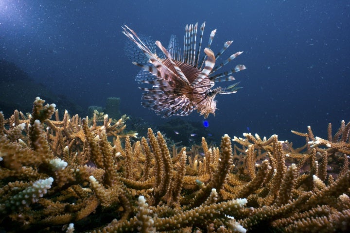 Malaysia: Alle Corona-Beschränkungen aufgehoben