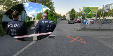 L&uuml;ftner Linz MOrd