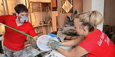 323 V&ouml;gel aus Messie-Wohnung gerettet