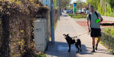 Bissattacke Liesing