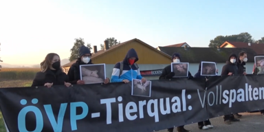 VGT aktivisten 1.PNG