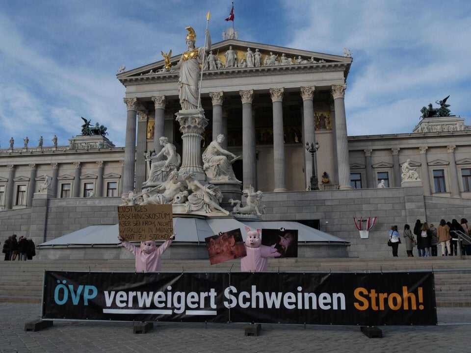 VGT-Schweine vor dem Parlament