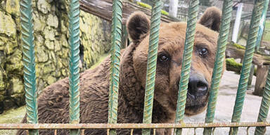 VierLokalaugenschein bei Felix  