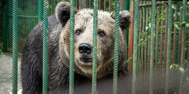 Ein neues Leben für Mici