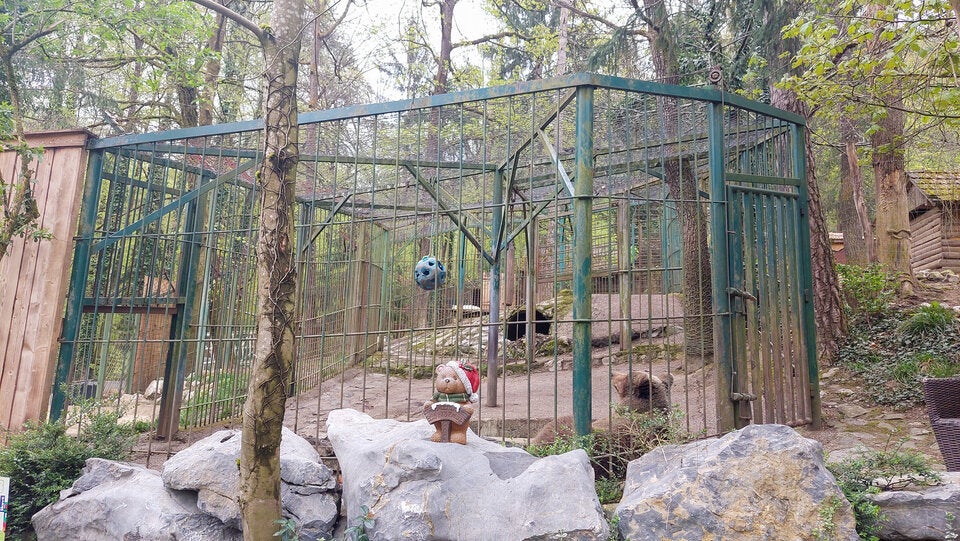 Tierschützer nach Zutrittsverbot bei Bär Tim in großer Sorge