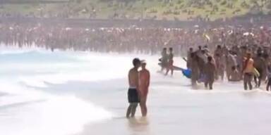 Sydney: Hai-Alarm bei Neujahrsschwimmen