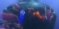 Findet Nemo 3D