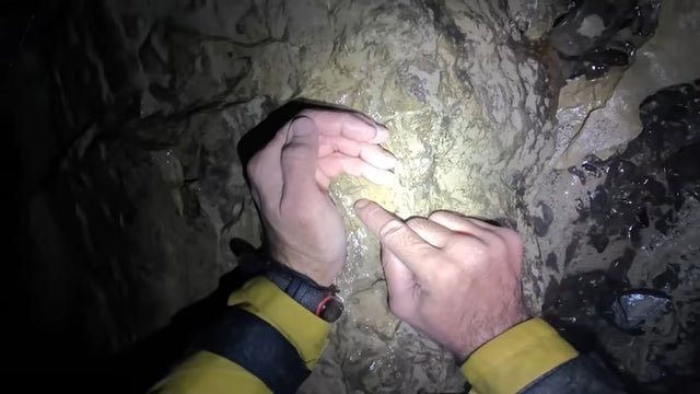 Unter den Funden befand sich ein kleiner, durchsichtiger Fisch, der sich perfekt an die lebensfeindliche Umgebung angepasst hat. 