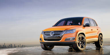 VWTiguan_schrägvo.1