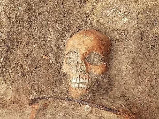 miroslawBlicharski/AleksanderPozna