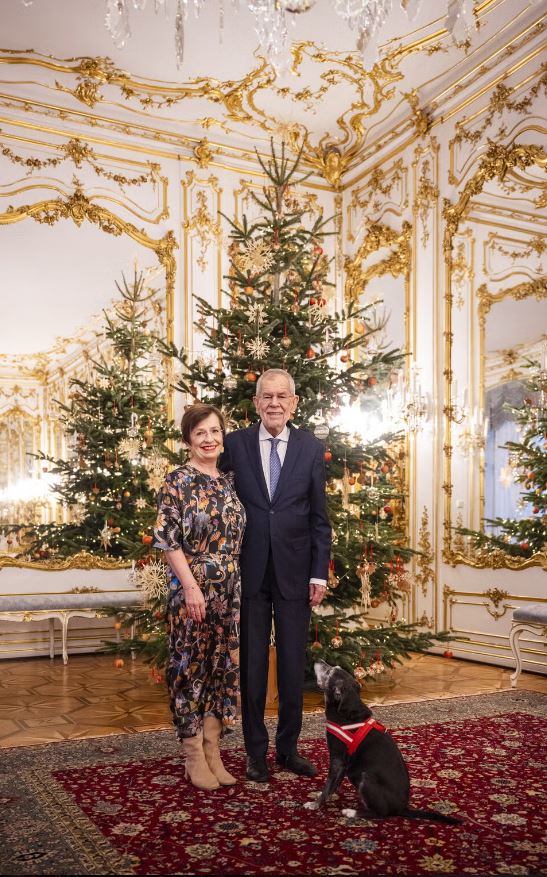 Van der Bellen, Schmidauer