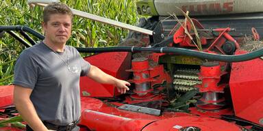 Wieder Sabotageakt auf Maisfeld: 15.000 Euro Kopfgeld f&uuml;r Hinweise