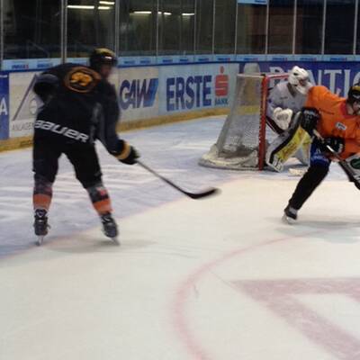 Die besten Bilder von Vaneks Ankunft