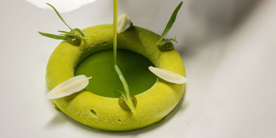 Variation vom Estragon