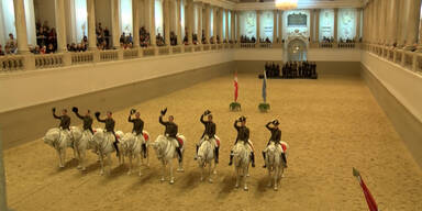 A Tribute to Vienna!