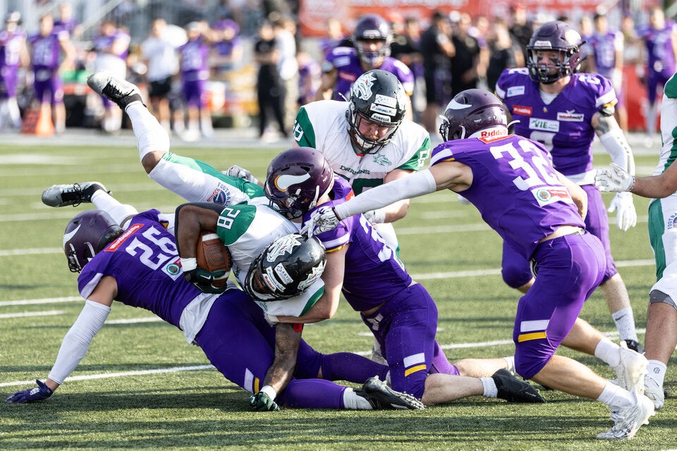 Vienna Vikings Danube Dragons
