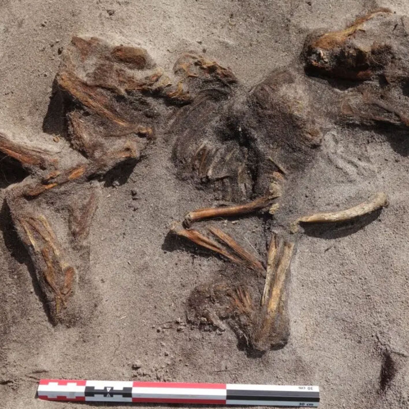 Ana arango porn was in need of a relaxation treatment and