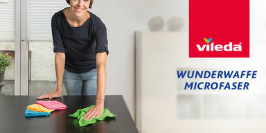 Vileda Madonna Sujet 2