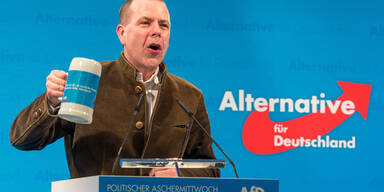 Vilimsky AfD